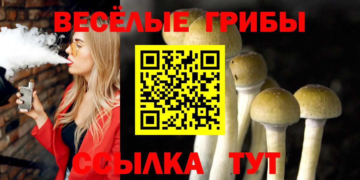Псилоцибиновые грибы GOLDEN TEACHER  Вход с VPN  Псилоцибиновые грибы Psilocybine cubensis  Десногорск 